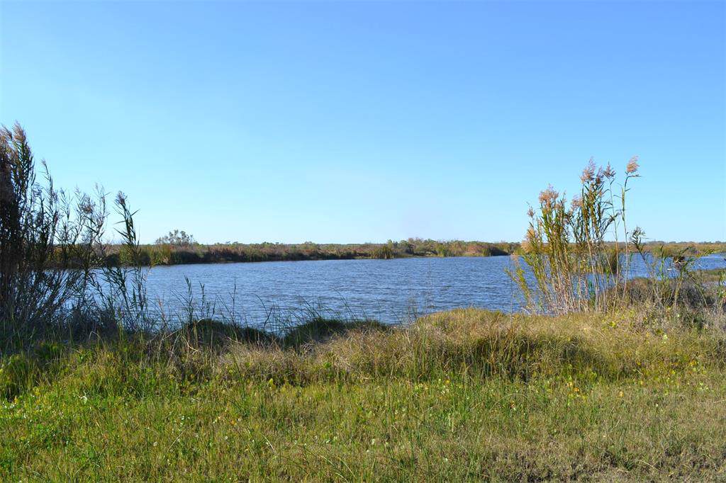 1035 Caplen Street - Photo 1
