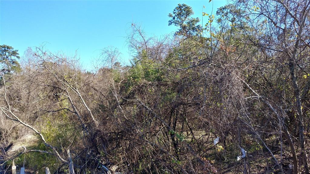 0 Greens Bayou Drive - Photo 1