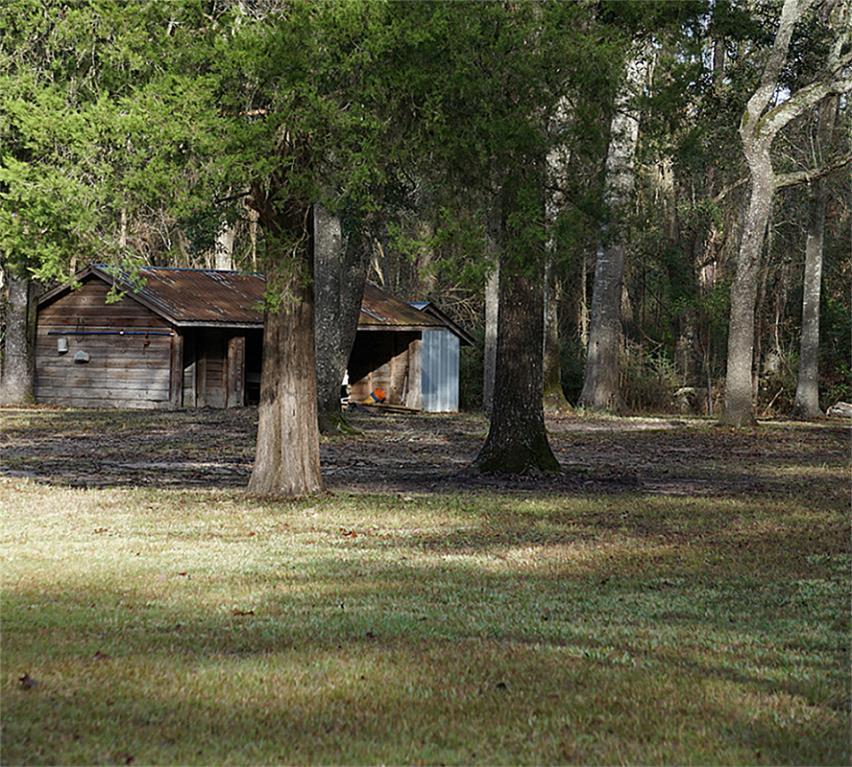 2502 Golden Road - Photo 1