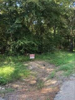 TBD County Road 3991 - Photo 1