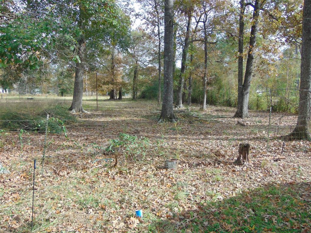 254 Road 312 - Photo 1