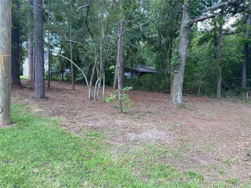 4163 Ben Milam Road - Photo 1