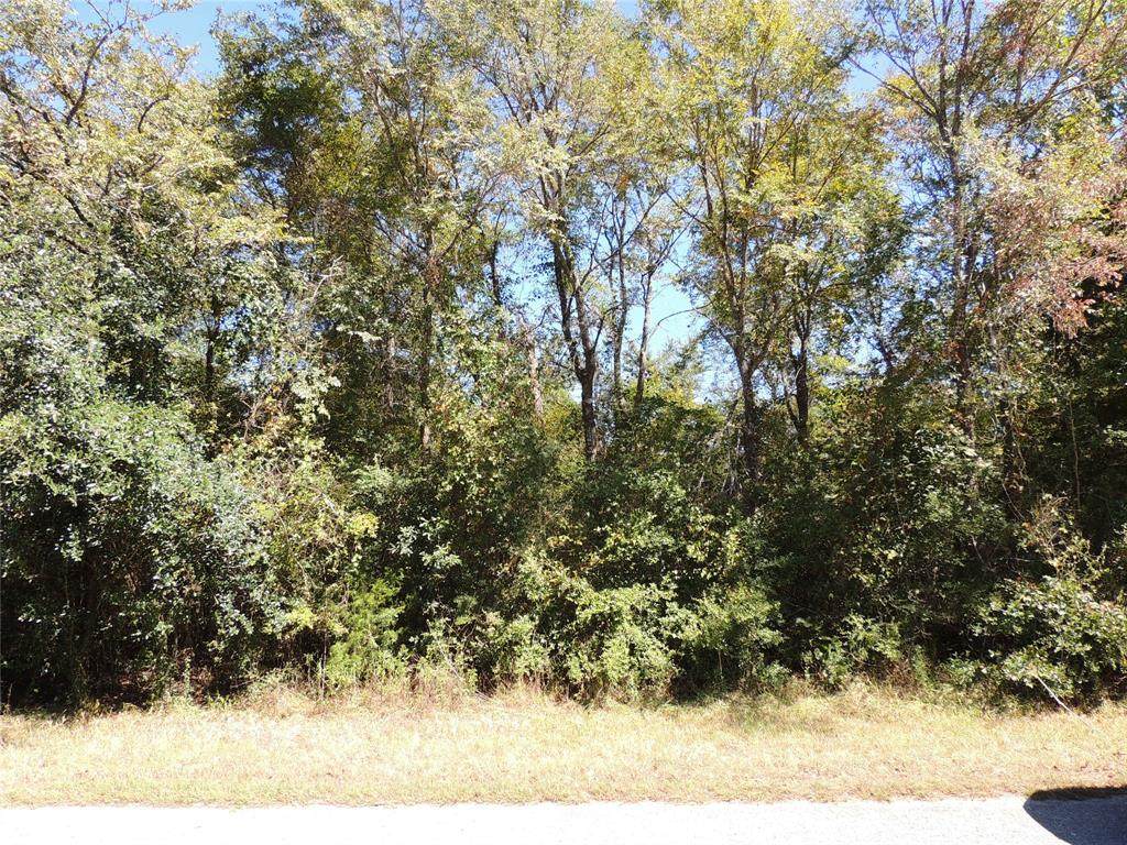 Lot 2-3-4-19 Fm 1736 - Photo 1