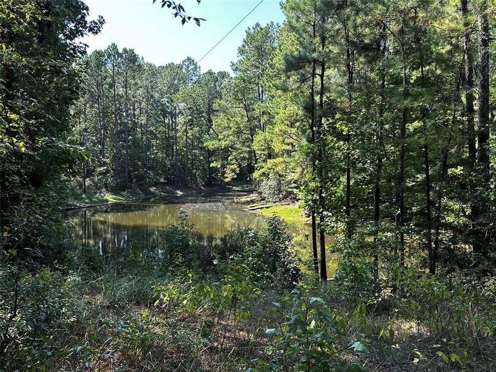 TBD Cr 3767 - Photo 1