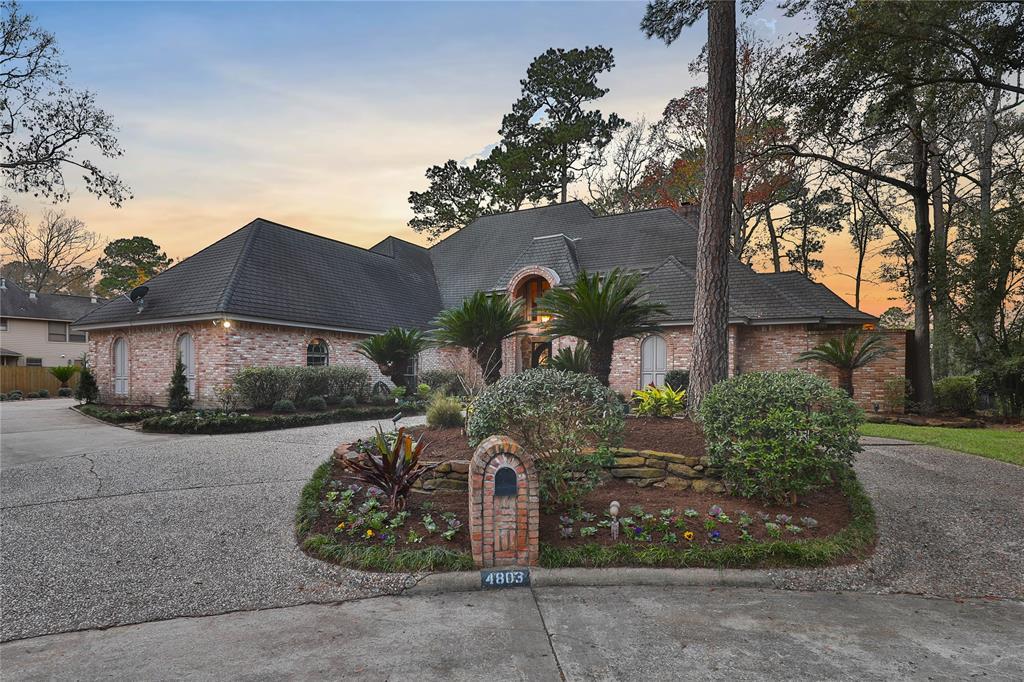 4803 Big Falls Drive - Photo 1