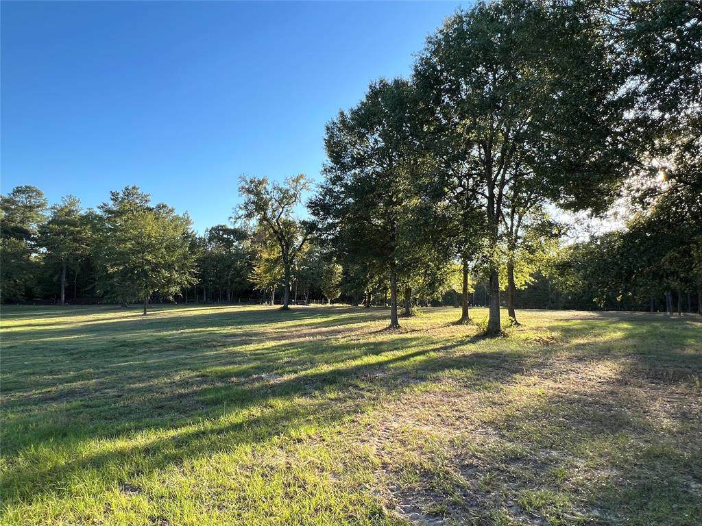 31322 Strathmore Road - Photo 1