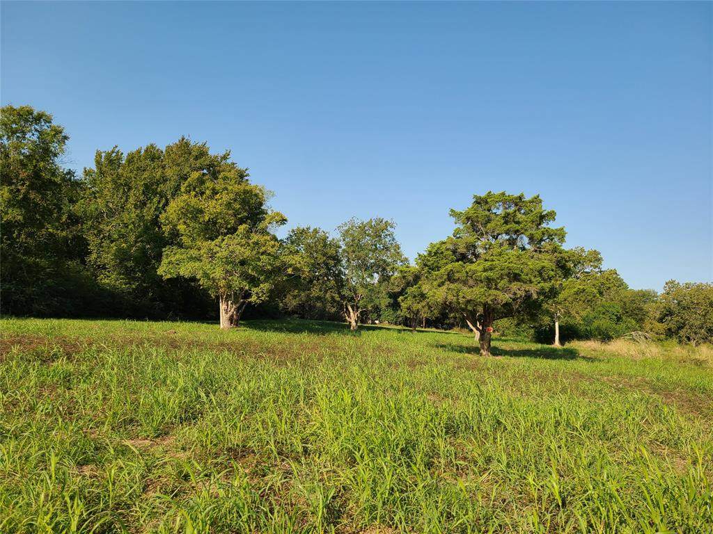 0 Fm 2668 Nichols Road - Photo 1