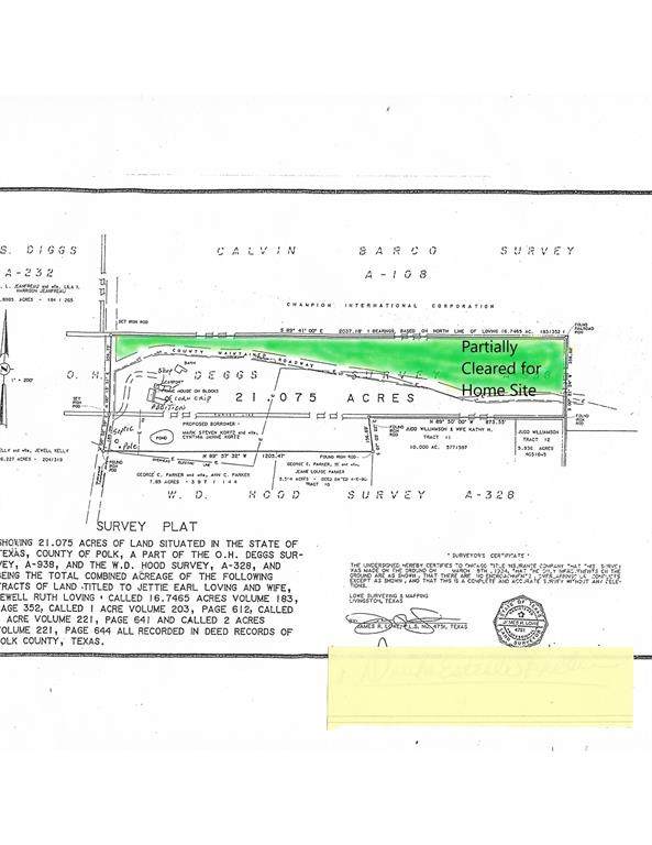 TBD Wolf Hill Road - Photo 1