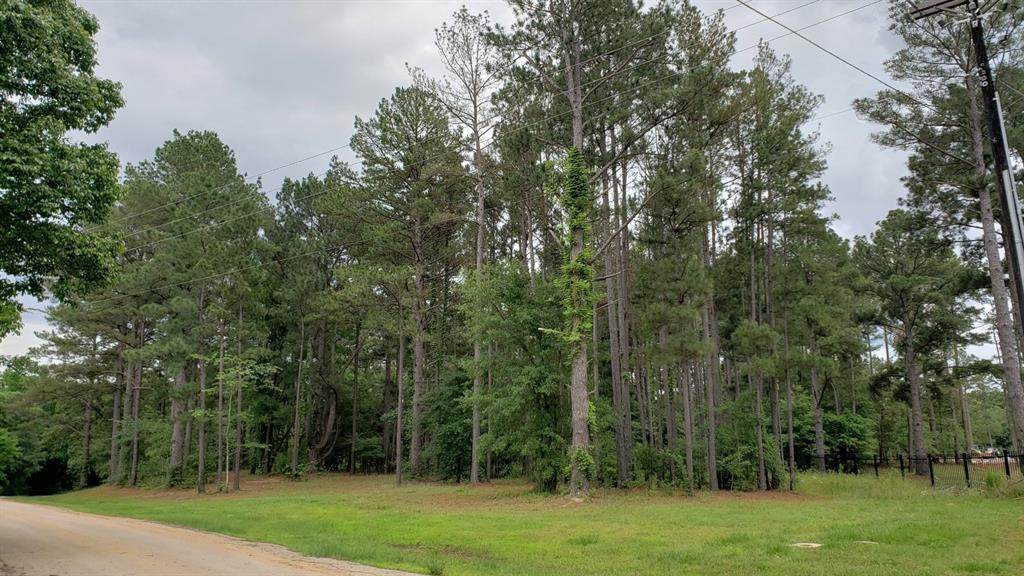22540 County Road 1174 - Photo 1