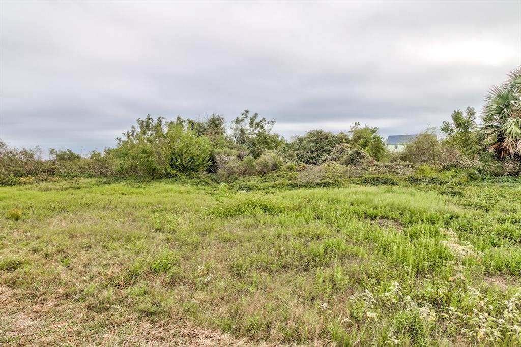 1785 Sheephead Lane - Photo 1