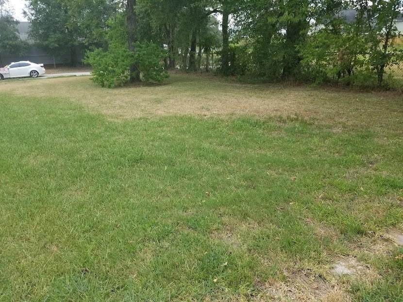 3120 Wentworth Street - Photo 1