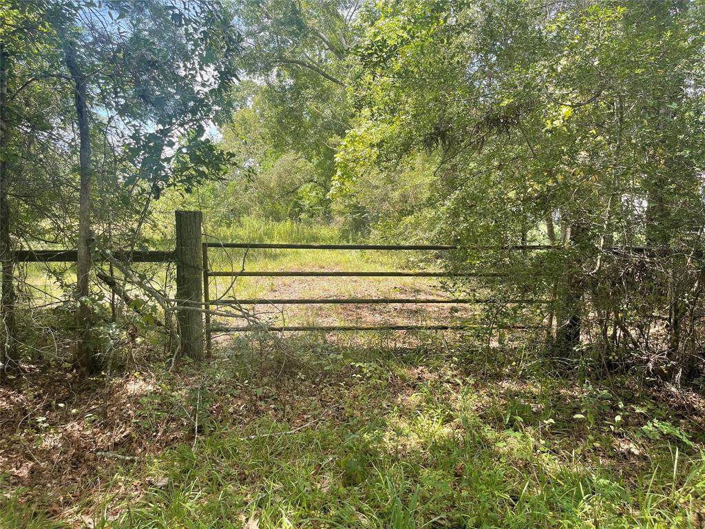 254 Road 312 - Photo 1