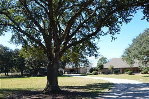 319 Wallace Road - Photo 1