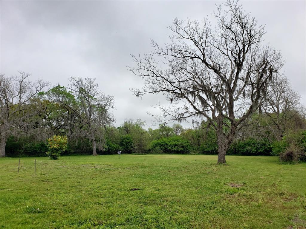 316 Red Oak Street - Photo 1