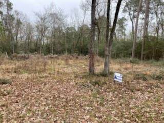 368 Hackberry Drive - Photo 1