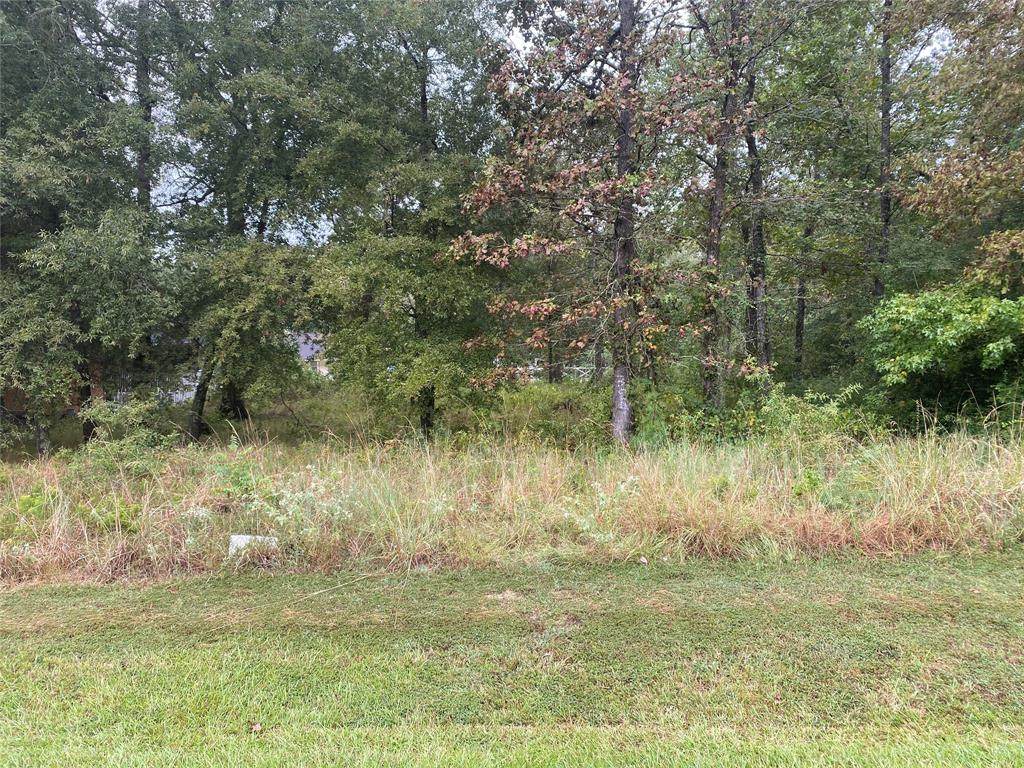00 Willow Oak Ln - Photo 1
