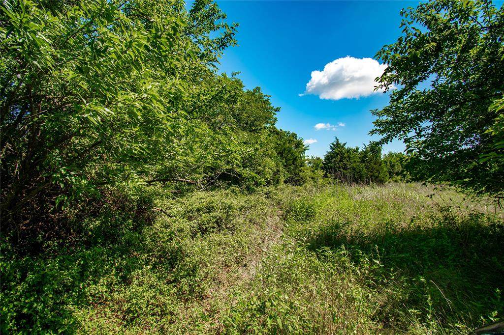 16730 Highway 290 - Photo 1