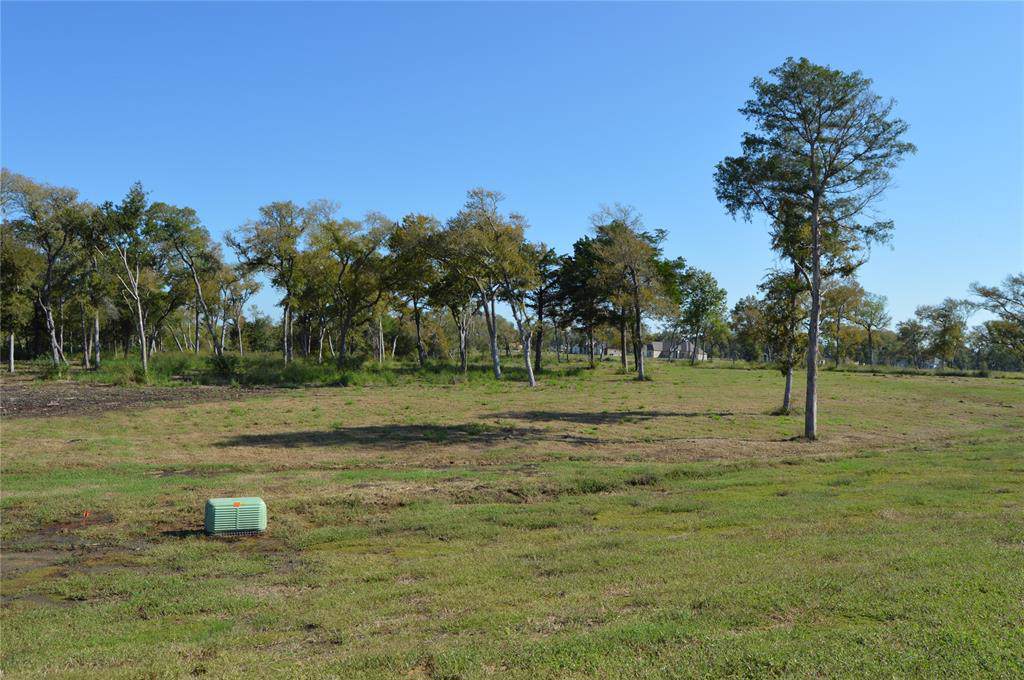 5503 Camp Creek Dr - Photo 1