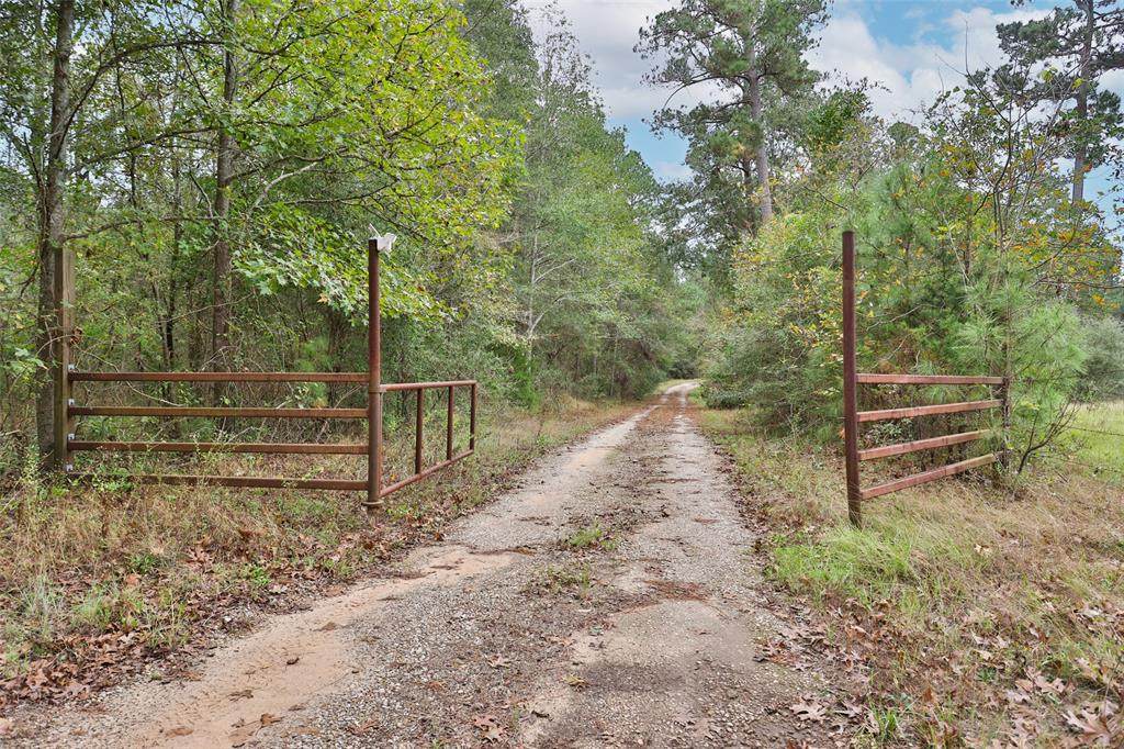 17008 Fm 1097 Road - Photo 1