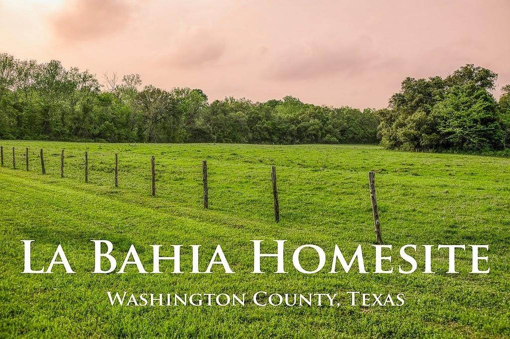 6.67 Acres Fm 390 - Photo 1