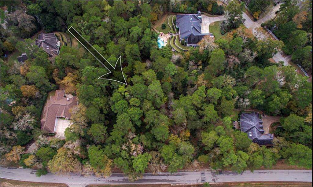 7297 Teaswood - Photo 1