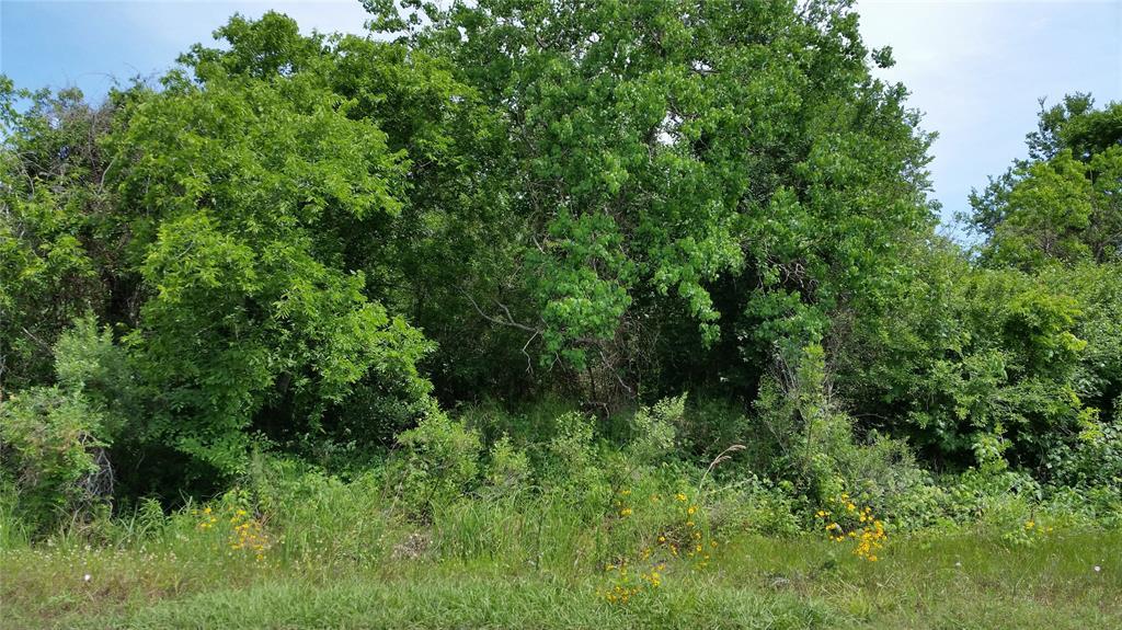 Lot 101 Belt Drive - Photo 1
