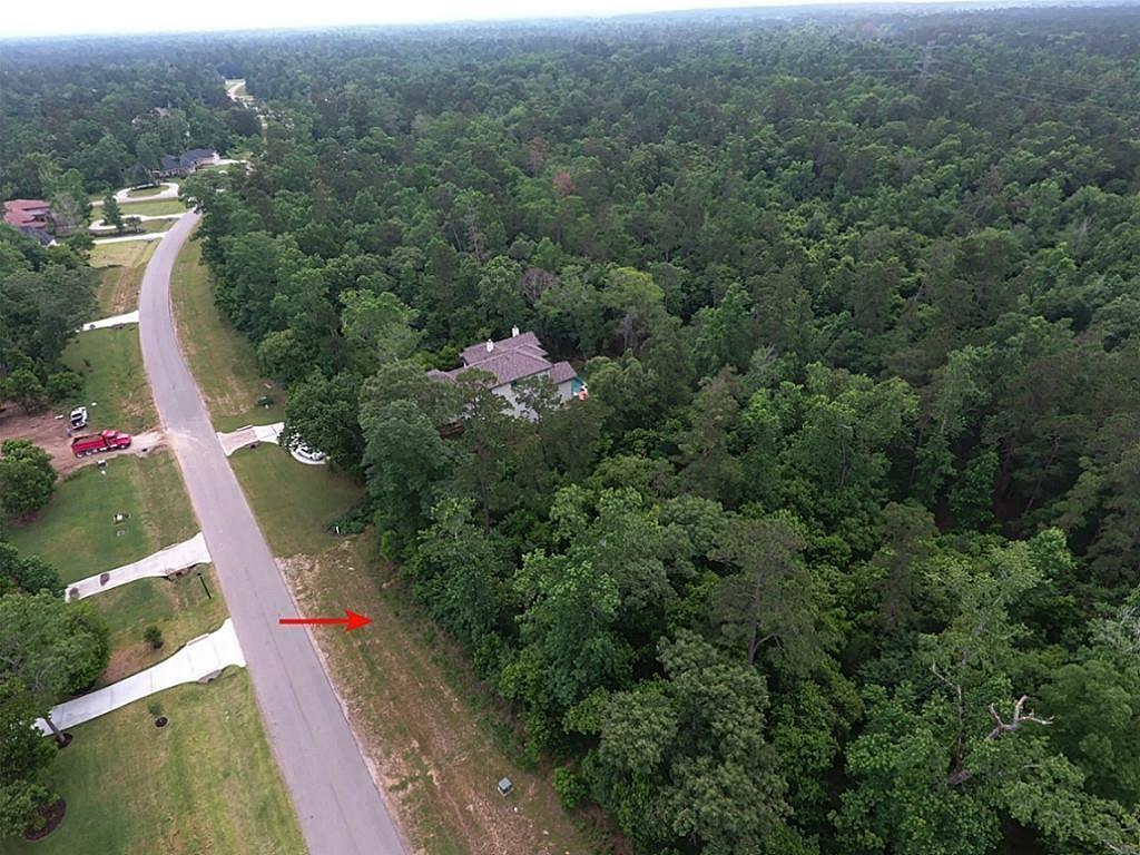 27326 Shady Hills Landing Lane - Photo 1