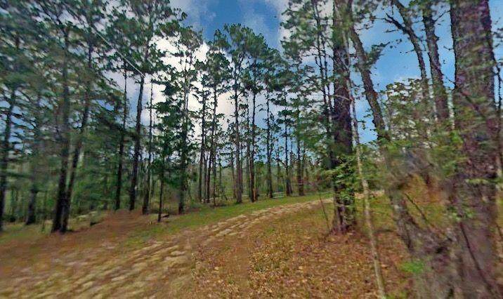 Lot 22 Emerick Court - Photo 1