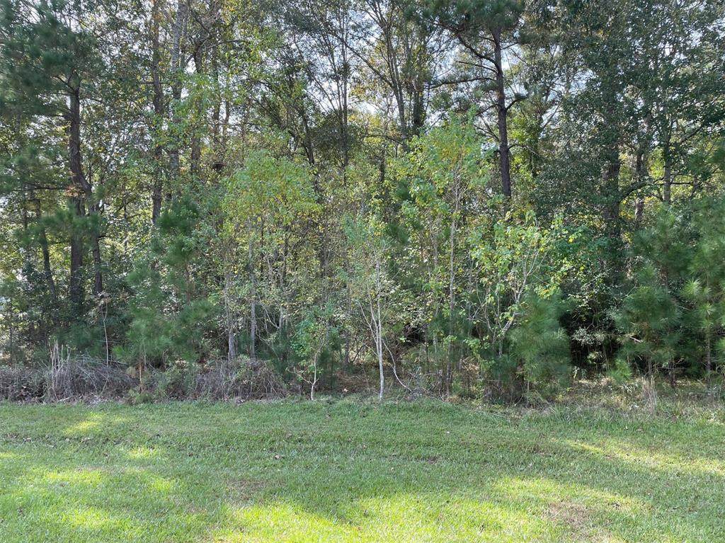 28303 Lazy Rock Drive - Photo 1