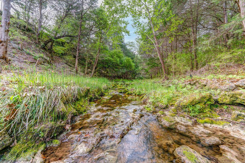 1145 Lot 1 County Road 218 - Photo 1