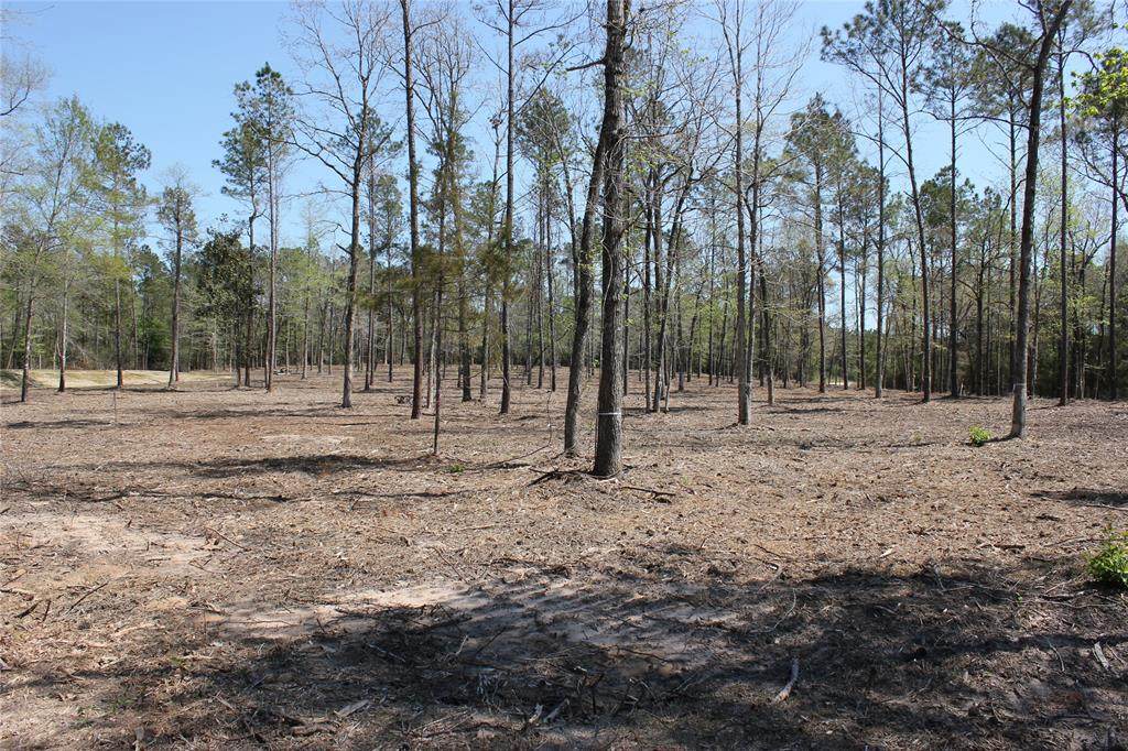 5320 Fm 3152 - Photo 1