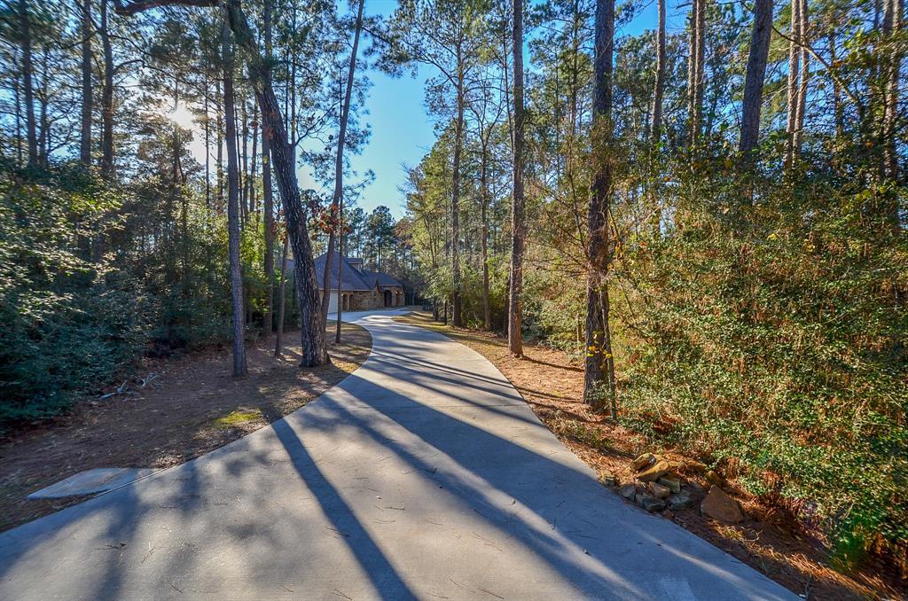 24703 Sylvan Place - Photo 1