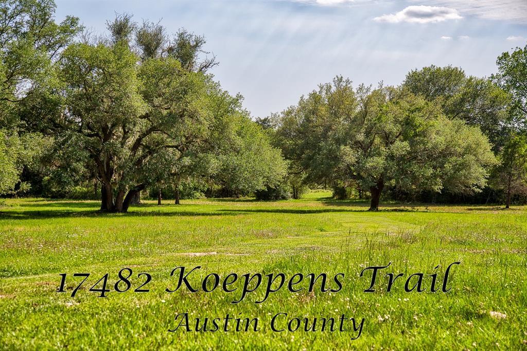 17482 Koeppens Trail - Photo 1