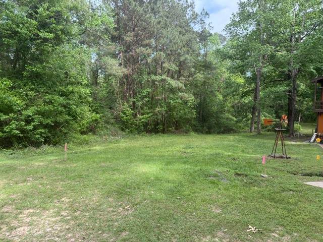 Lot 34 Gov Latham Circle - Photo 1