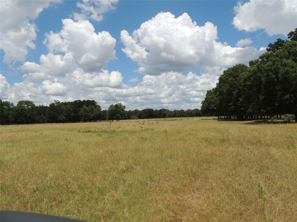 1194 County Road 2260 - Photo 1