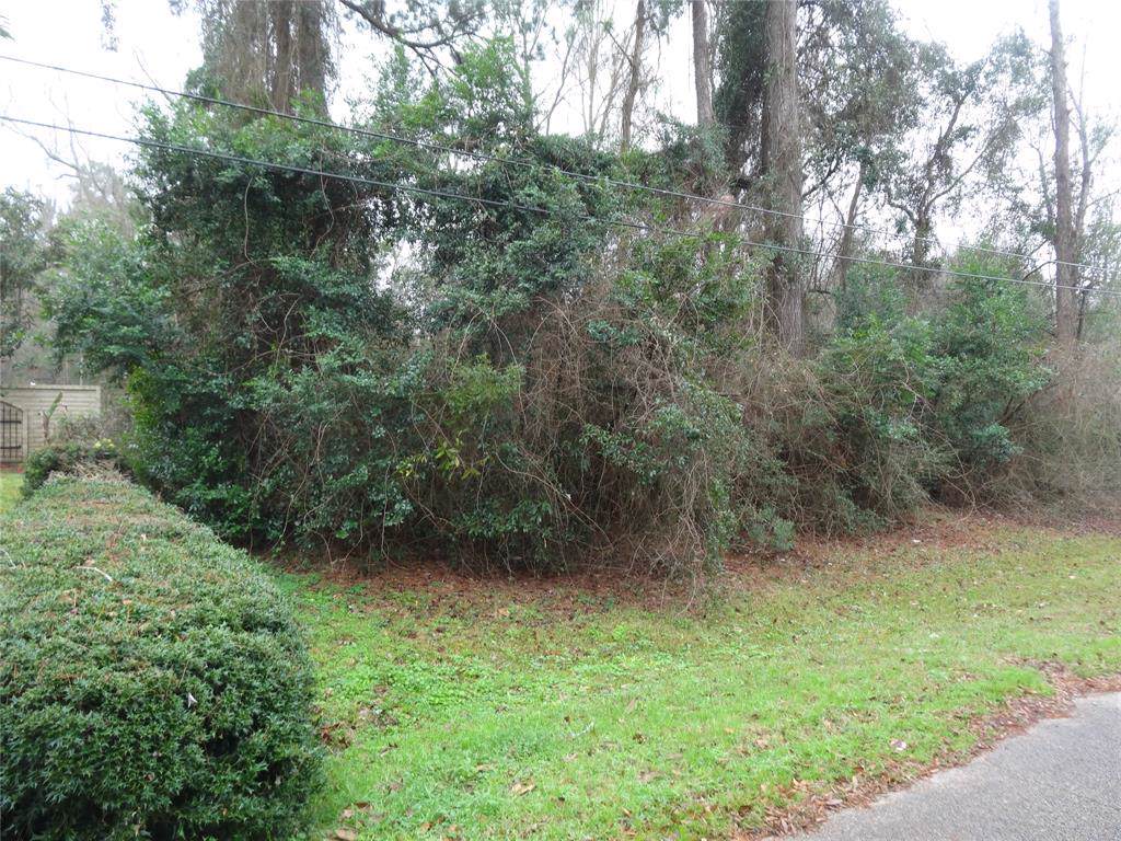 313 Maple Lane - Photo 1