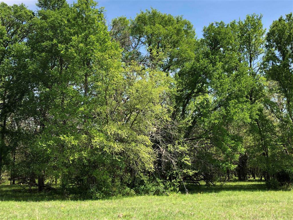 TBD County Road 220 Road - Photo 1