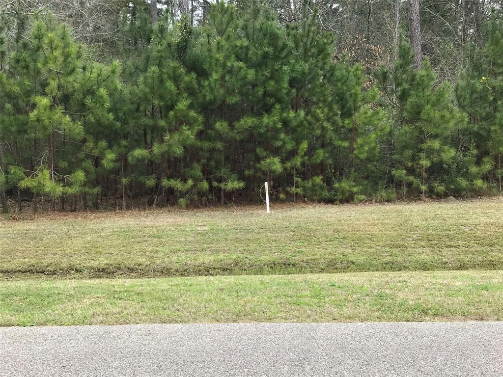 1184 Trailwood Estates Drive - Photo 1