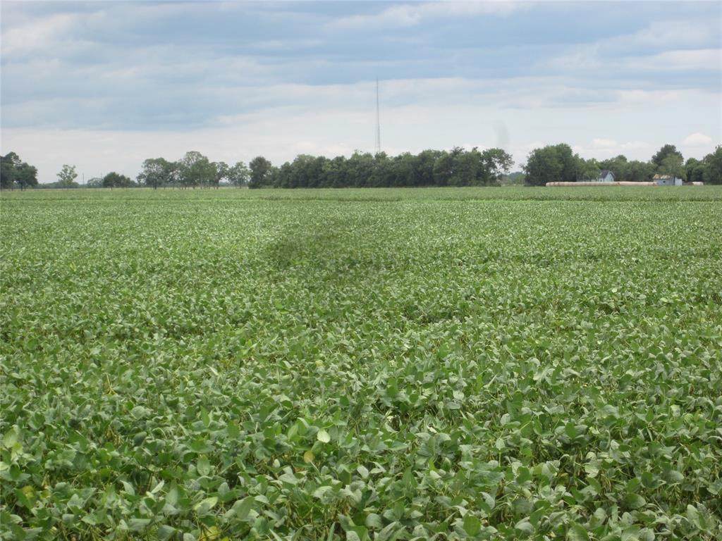 0 Cr 11 Tract 3 - Photo 1