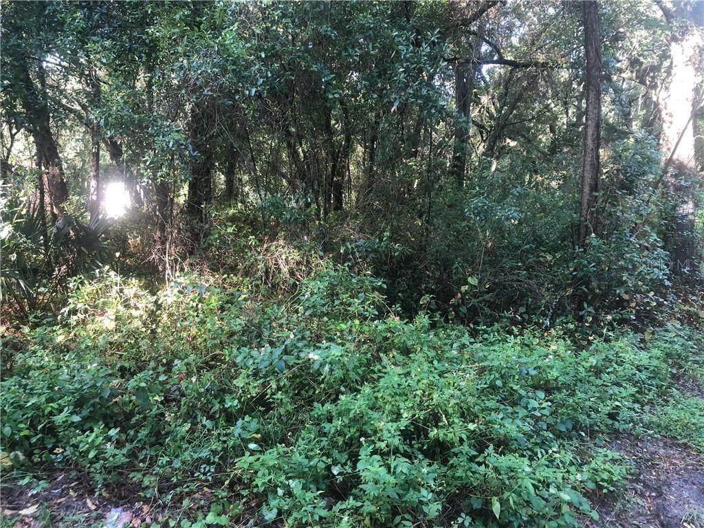 0 0 Moonshine Hill Road - Photo 1