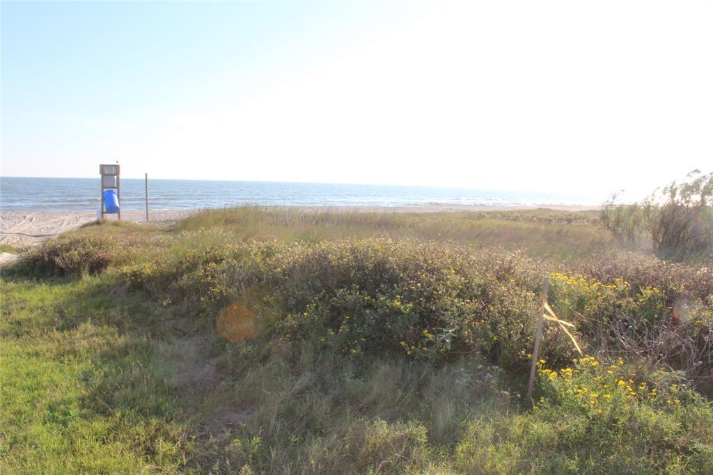 981 Jean Street - Photo 1