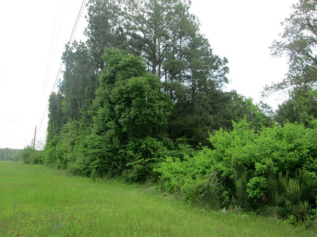 TBD Us Hwy 69 South, East Side - Photo 1