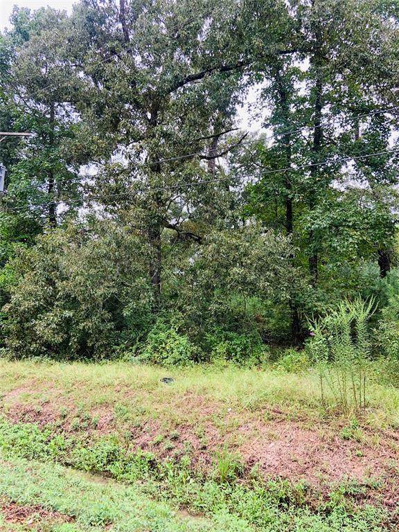 4007 Long Leaf Lane - Photo 1