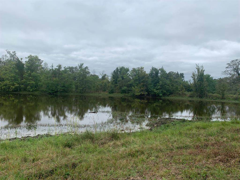 25572 Johnson Road - Photo 1