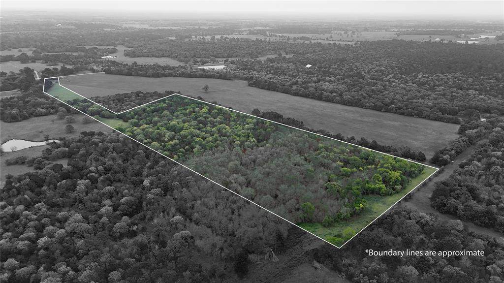 TBD St Delight Tract 5 Road - Photo 1
