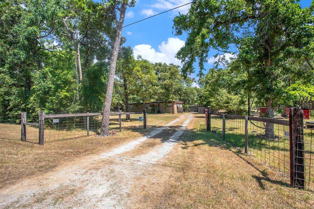 6297 Magan Road - Photo 1