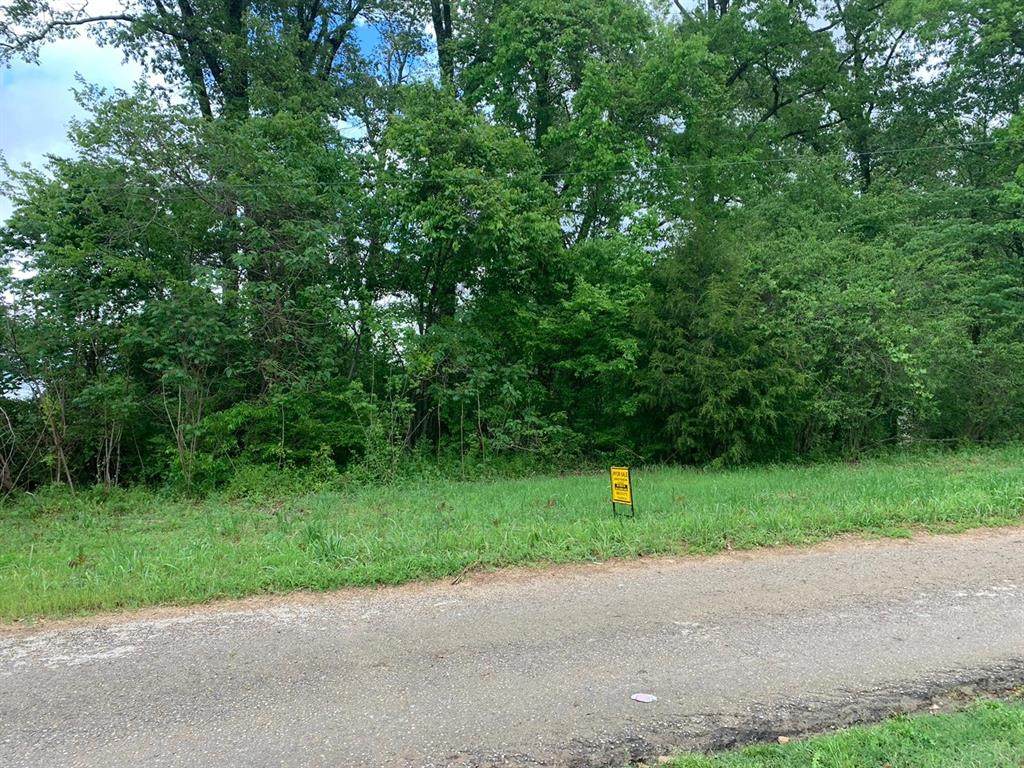 0 South Avenue - Photo 1