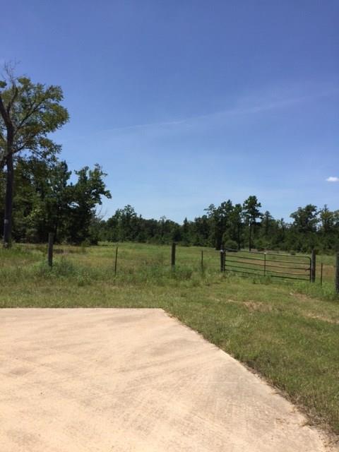 381 Big Buck Drive - Photo 1