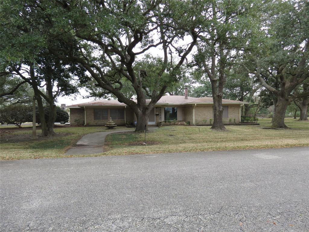 1401 Yupon Street - Photo 1