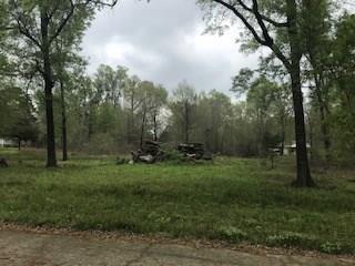 TBD Bending Oaks Lane - Photo 1
